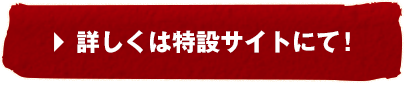 詳しくは特設サイトにて